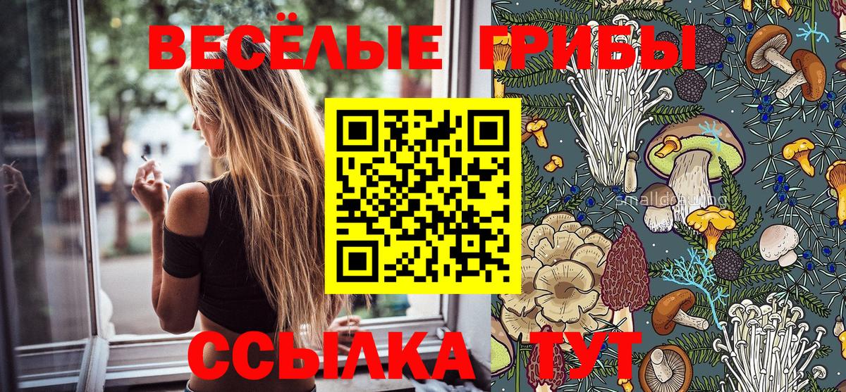 Малгобек  Псилоцибиновые грибы MAGIC MUSHROOMS  купить закладку  Вход с VPN  Псилоцибиновые грибы Psilocybine cubensis 